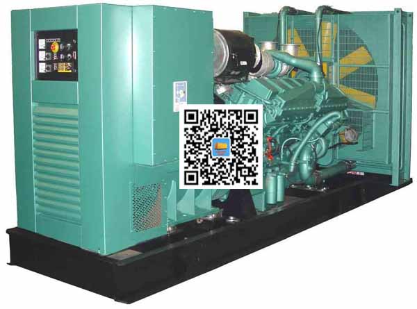 革吉笼型异步发电机的电力电子控制技术